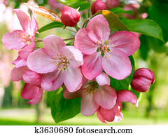 Springtime. Springtime.