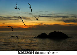 Twilight in California