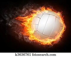 Volleyball Ball Volleyball Ball