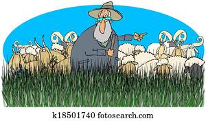 Shepherd with sheep and goats Shepherd with sheep and goats