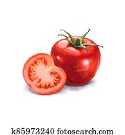 Vegetable set. Pepper, beetroot, tomato, eggplant, blob. Harvest and Thanksgiving fruit of nature, food collection for restaurants, menus, posters and grocery bags. Graphics and color Vegetable set. Pepper, beetroot, tomato, eggplant, blob. Harvest and Thanksgiving fruit of nature, food collection for restaurants, menus, posters and grocery bags. Graphics and color