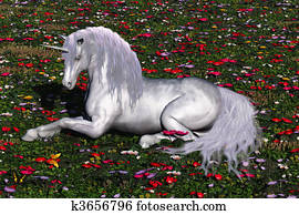 ENCHANTED ENCHANTED