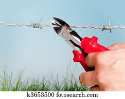 Escape through barbed wire