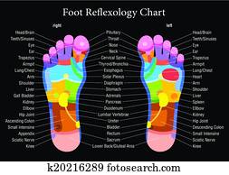 Foot reflexology chart black descri Foot reflexology chart black descri