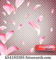 粉紅色, sakura, 落下, 花瓣, 矢量, 背景。, 婚禮, 情人節, 或者, 婦女 