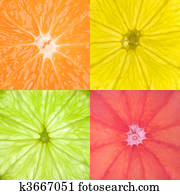 Citrus Fruits Citrus Fruits