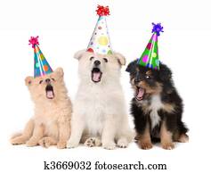 filhotes cachorro, cantando, feliz aniversário, canção
