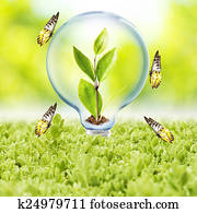 Light Bulb Light Bulb