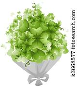 Shamrocks Shamrocks