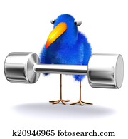 3d Bluebird lifting weights 3d Bluebird lifting weights