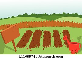 gemüsegarten gemüsegarten
