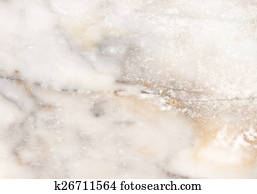 Architecture Details