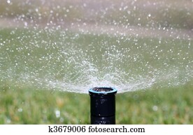 Sprinkler Sprinkler
