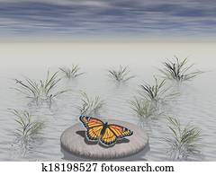 zen rock with butterfly zen rock with butterfly