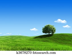 טבע, אוסף, -, אחו ירוק, 1, עץ, דפוסית