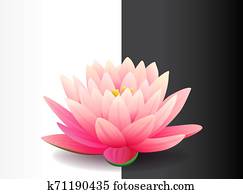Beautiful realistic pink lotus flower isolated on black and white background, water plant, vector illustration. Beautiful realistic pink lotus flower isolated on black and white background, water plant, vector illustration.