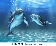 Dolphins Dolphins