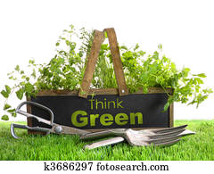 Garden box with assortment of herbs and tools Garden box with assortment of herbs and tools