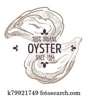 Oyster emblem, seafood organic ingredients menu label sketch Oyster emblem, seafood organic ingredients menu label sketch