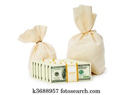 Sacks of money isolated on the white