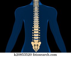 Back Pain, Spine, Backache Back Pain, Spine, Backache