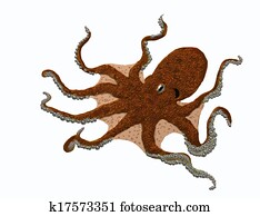 Big octopus Big octopus
