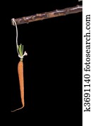 carrot and stick on black carrot and stick on black