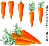 carrots carrots