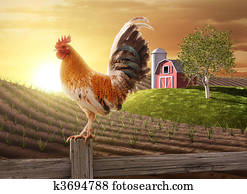 Farm fresh morning Farm fresh morning