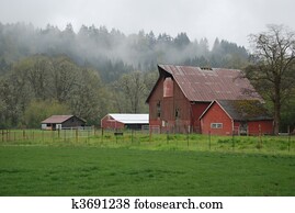 Farm in the mist Farm in the mist