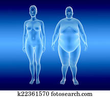 Fat and thin Woman Fat and thin Woman