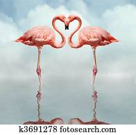 Love Birds Love Birds