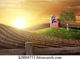 Morning on the Farm Morning on the Farm