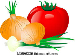 onion and tomato onion and tomato