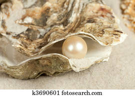 Pearl in oyster Pearl in oyster