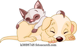Puppy and Kitten Puppy and Kitten