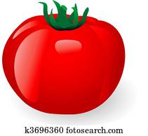tomato tomato