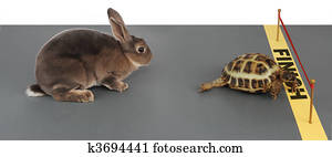 tortoise-hare