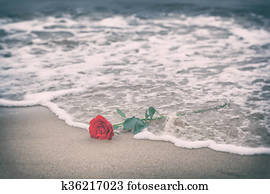 Waves washing away a red rose from the beach. Vintage. Love