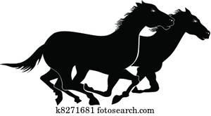 Wild horses Wild horses