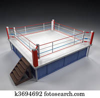 אגרוף, אצטדיון