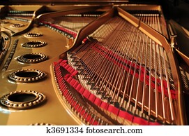 פסנתר כנף של ההופעה, פנים