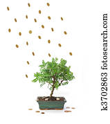 finanziell, windschlag