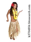 Hula Dancer Hula Dancer
