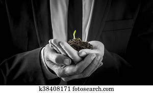 Businessman holding a germinating plant