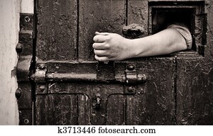 escape from captivity