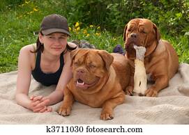 junge frau, liegen, mit, zwei, hunde