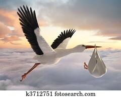 Stork & Baby Stork & Baby
