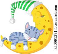 The cat sleep on the moon The cat sleep on the moon