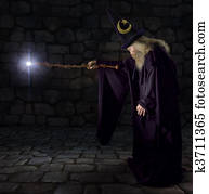 The Wizard The Wizard